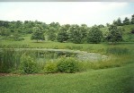 08.jpg