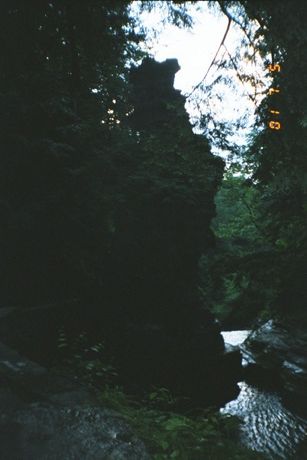 010.jpg
